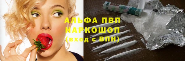 тгк Володарск