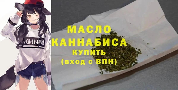 тгк Володарск