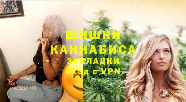 тгк Володарск