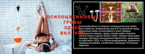 ПСИЛОЦИБИНОВЫЕ ГРИБЫ Волоколамск