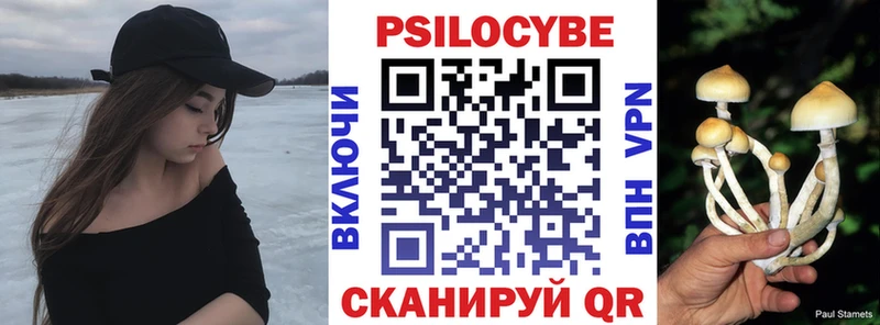 MEGA рабочий сайт  цена   Калининск  Галлюциногенные грибы Psilocybine cubensis 